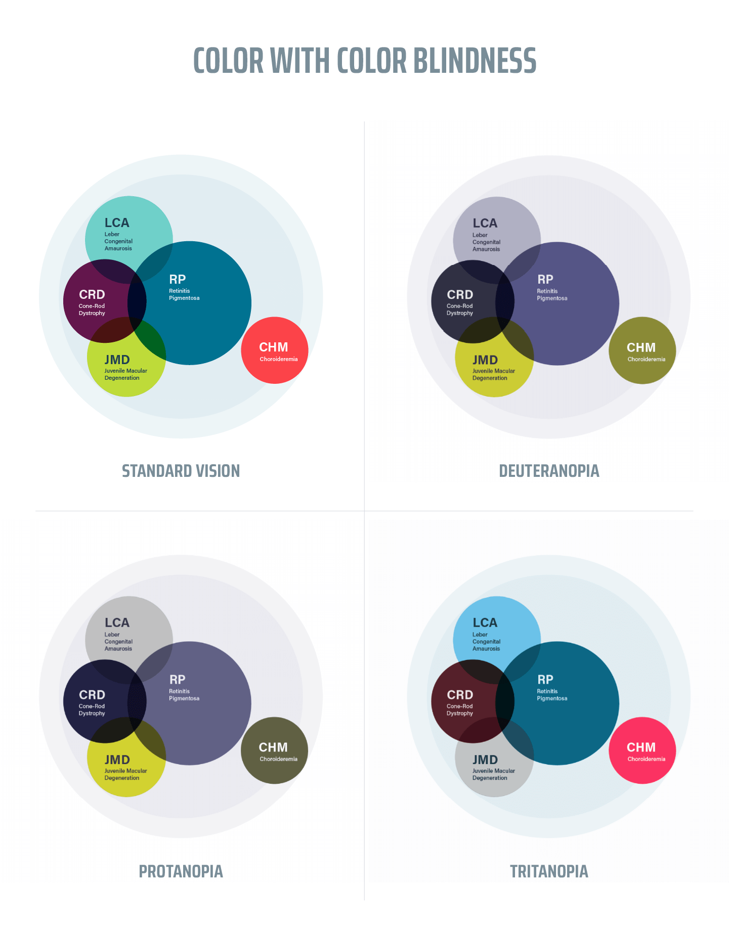 A Shared Vision - Color With Color Blindness