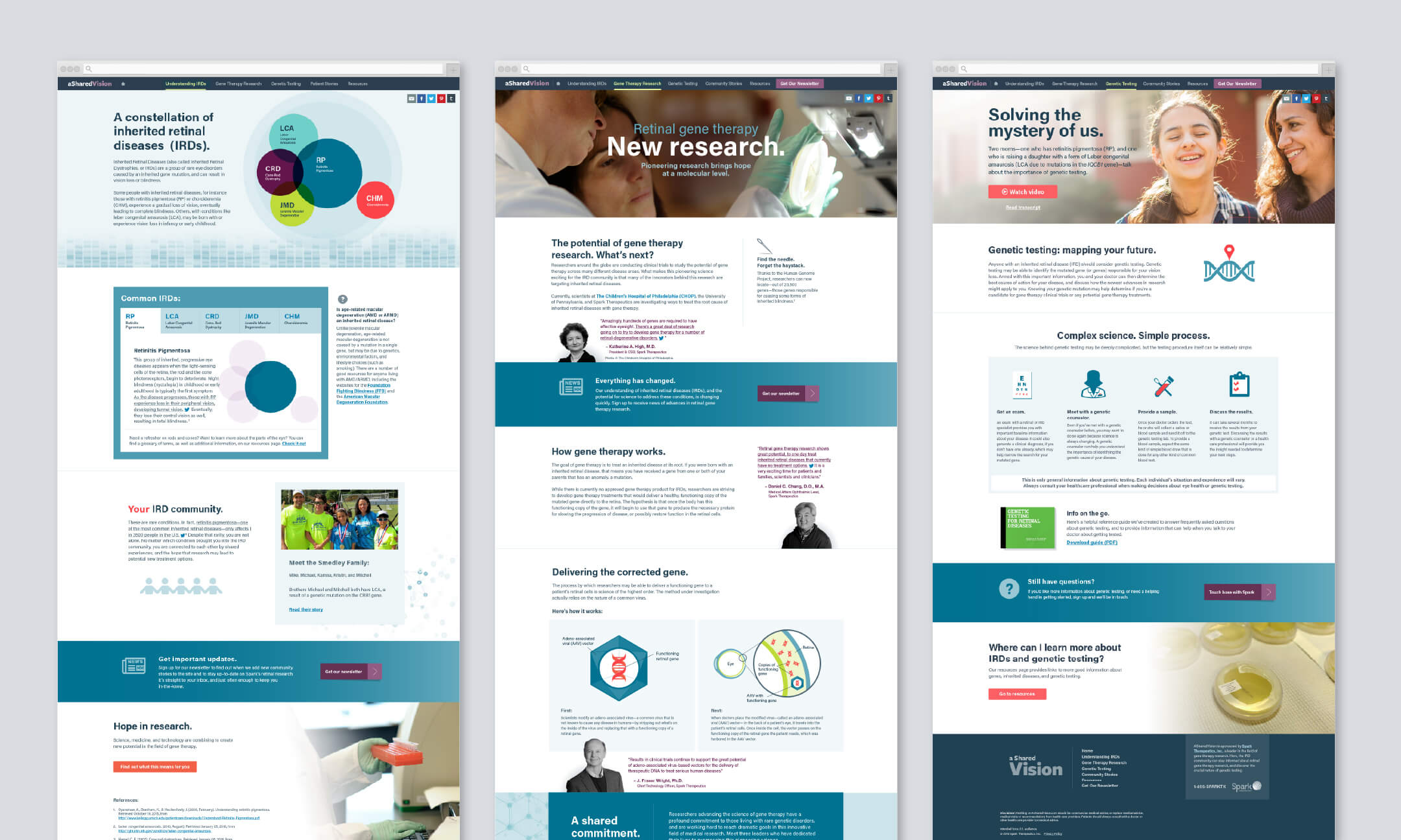 A Shared Vision Pages