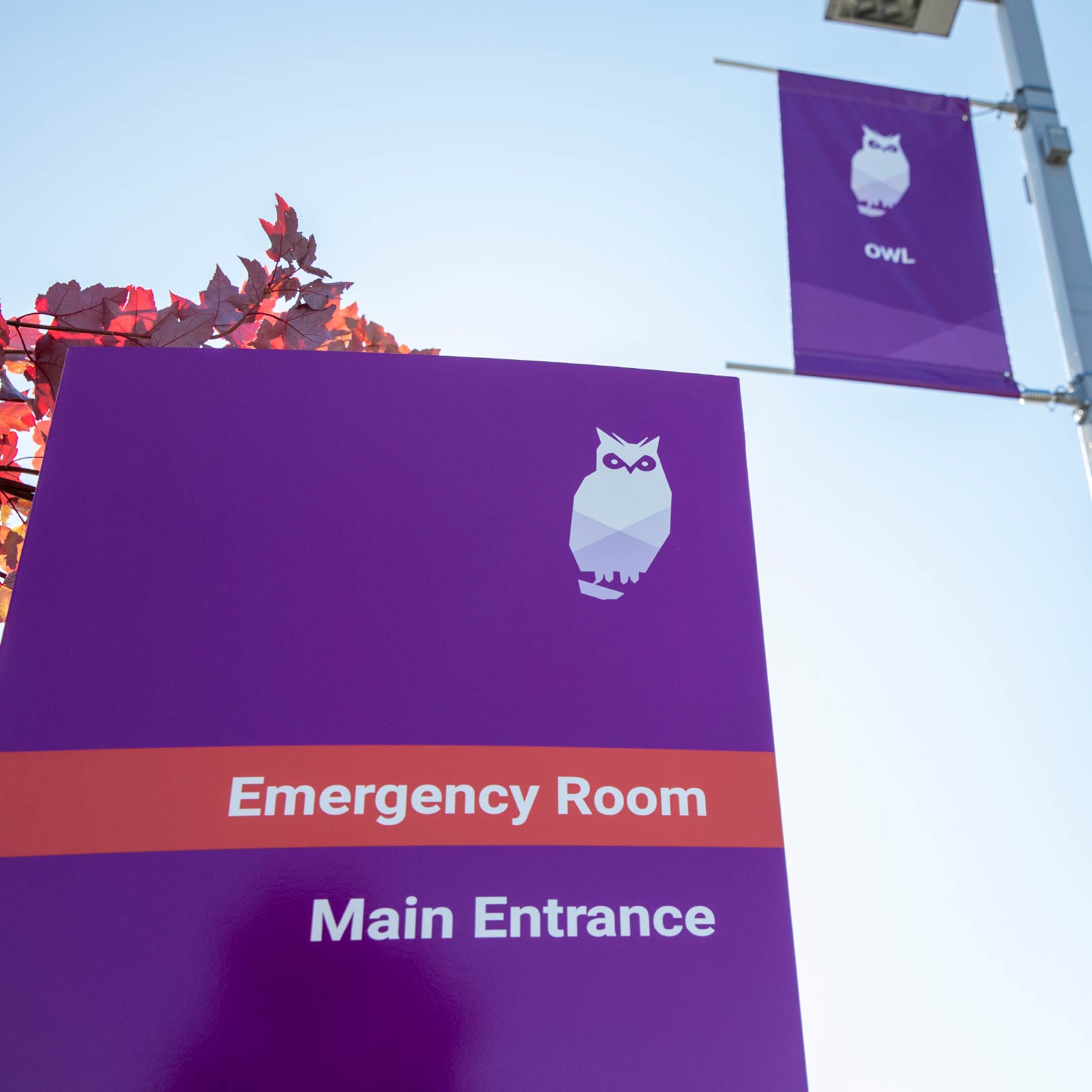 Skagit Regional Health