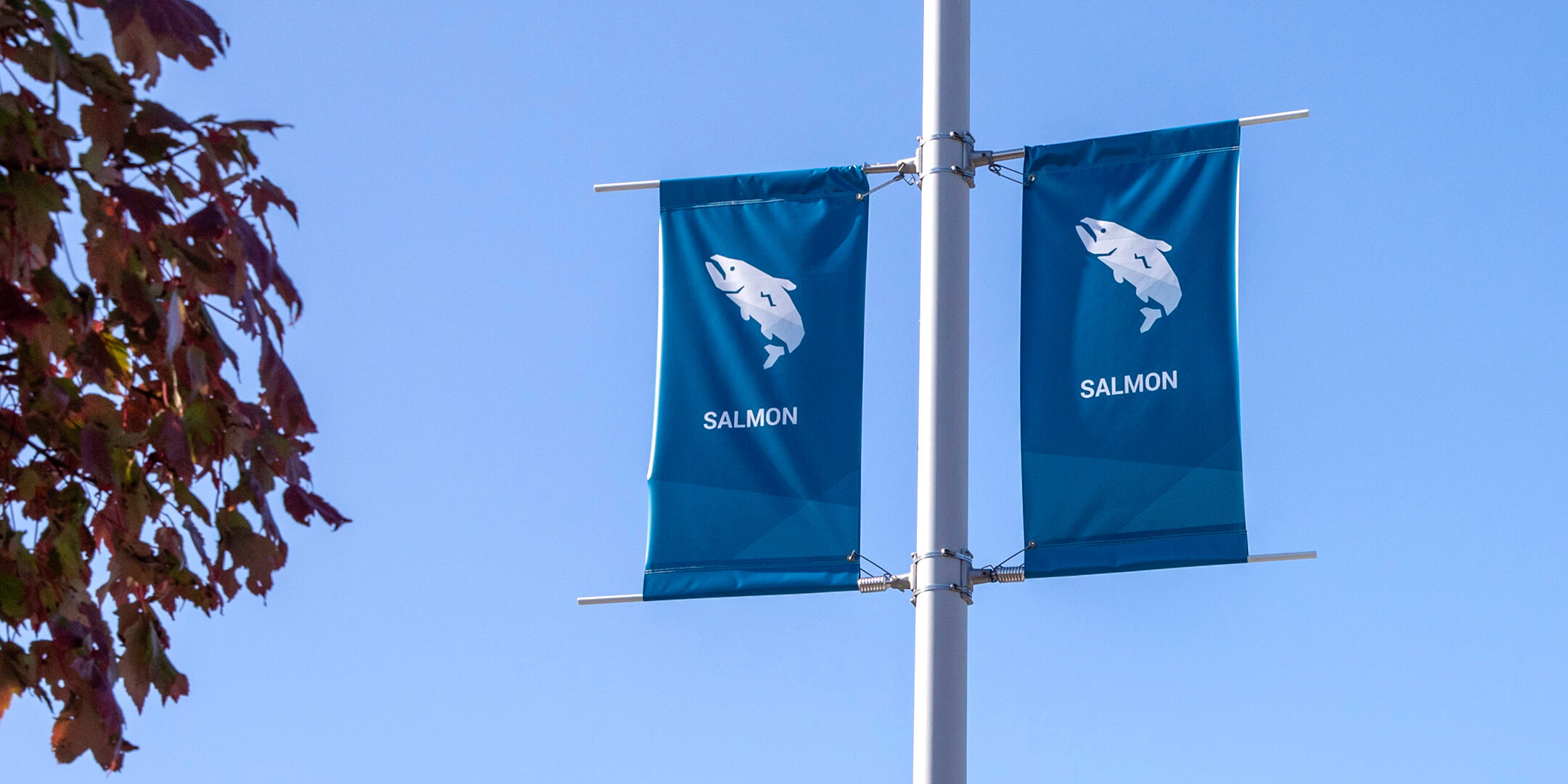 Skagit Regional Health - Parking Lot Navigation - Salmon Lot