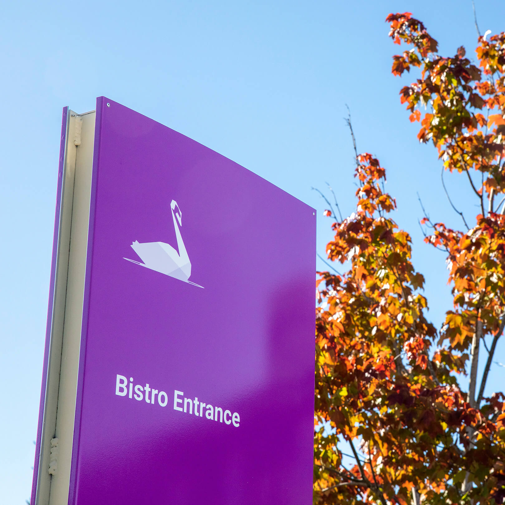 Skagit Regional Health - Parking Lot Navigation - Swan Lot